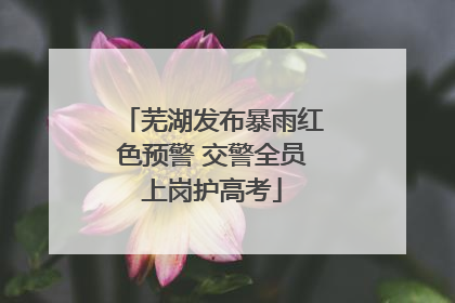 芜湖发布暴雨红色预警 交警全员上岗护高考