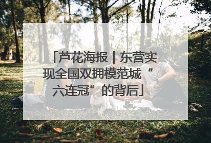 芦花海报｜东营实现全国双拥模范城“六连冠”的背后
