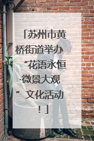 苏州市黄桥街道举办“花语永恒·微景大观”文化活动！