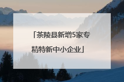 茶陵县新增5家专精特新中小企业