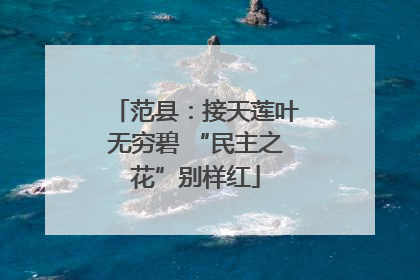 范县：接天莲叶无穷碧 “民主之花”别样红