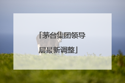 茅台集团领导层最新调整