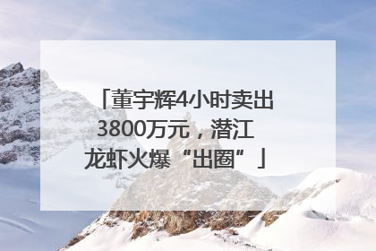 董宇辉4小时卖出3800万元，潜江龙虾火爆“出圈”