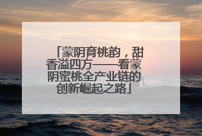 蒙阴育桃韵，甜香溢四方——看蒙阴蜜桃全产业链的创新崛起之路