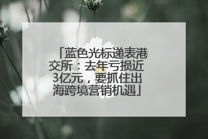 蓝色光标递表港交所：去年亏损近3亿元，要抓住出海跨境营销机遇
