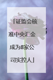 证监会核准中央汇金成为8家公司实控人