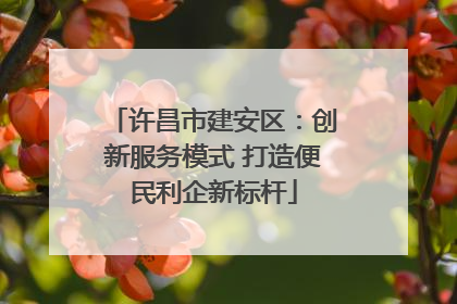 许昌市建安区：创新服务模式 打造便民利企新标杆