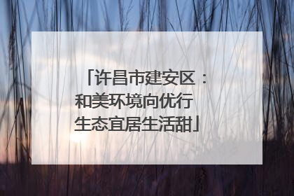 许昌市建安区：和美环境向优行 生态宜居生活甜