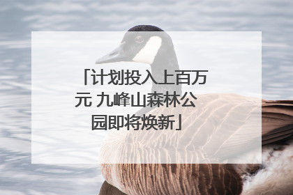 计划投入上百万元 九峰山森林公园即将焕新