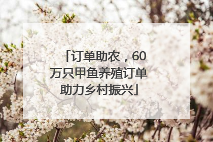 订单助农，60万只甲鱼养殖订单助力乡村振兴