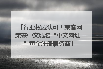 行业权威认可！京客网荣获中文域名“中文网址”黄金注册服务商