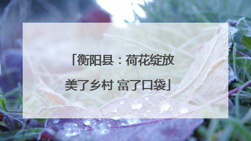 衡阳县：荷花绽放 美了乡村 富了口袋