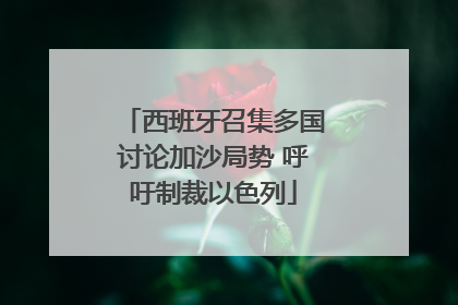 西班牙召集多国讨论加沙局势 呼吁制裁以色列