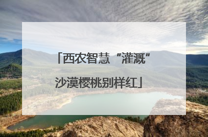 西农智慧“灌溉” 沙漠樱桃别样红