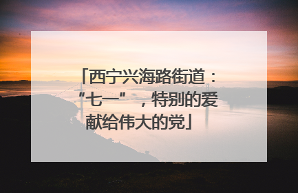 西宁兴海路街道：“七一”，特别的爱献给伟大的党