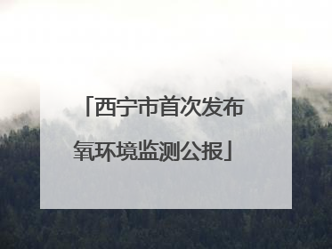 西宁市首次发布氧环境监测公报