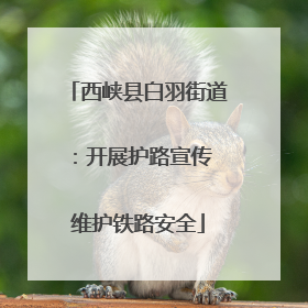 西峡县白羽街道：开展护路宣传 维护铁路安全