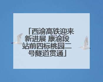 西渝高铁迎来新进展 康渝段站前四标桃园二号隧道贯通
