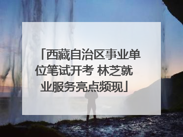 西藏自治区事业单位笔试开考 林芝就业服务亮点频现