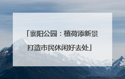 襄阳公园：植荷添新景 打造市民休闲好去处
