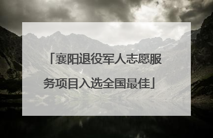 襄阳退役军人志愿服务项目入选全国最佳