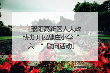 襄阳高新区人大政协办开展魏庄小学“六一”慰问活动
