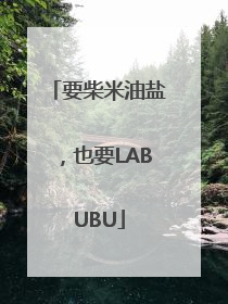 要柴米油盐，也要LABUBU