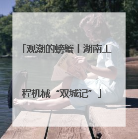观潮的螃蟹丨湖南工程机械“双城记”