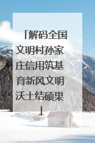 解码全国文明村孙家庄信用筑基育新风文明沃土结硕果
