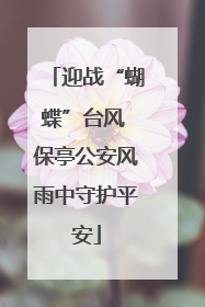 迎战“蝴蝶”台风 保亭公安风雨中守护平安