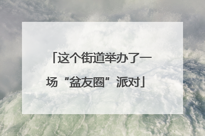 这个街道举办了一场“盆友圈”派对