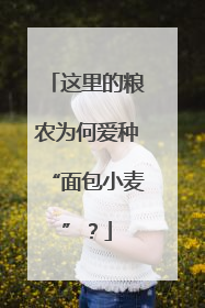 这里的粮农为何爱种“面包小麦”？