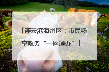 连云港海州区：市民畅享政务“一网通办”