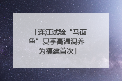 连江试验“马面鱼”夏季高温混养 为福建首次
