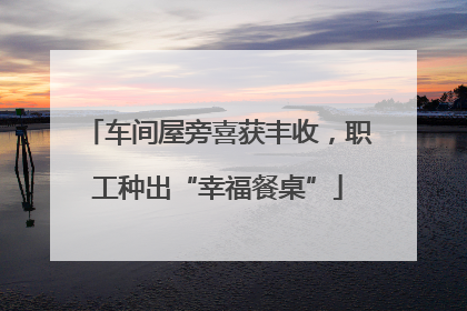 车间屋旁喜获丰收，职工种出“幸福餐桌”