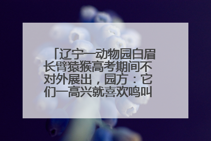 辽宁一动物园白眉长臂猿猴高考期间不对外展出，园方：它们一高兴就喜欢鸣叫，怕影响考试