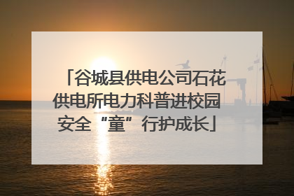 谷城县供电公司石花供电所电力科普进校园安全“童”行护成长