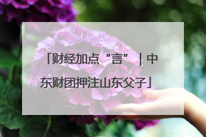 财经加点“言”｜中东财团押注山东父子