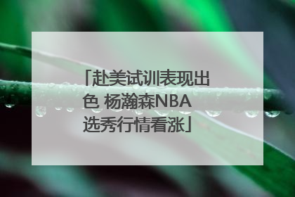 赴美试训表现出色 杨瀚森NBA选秀行情看涨