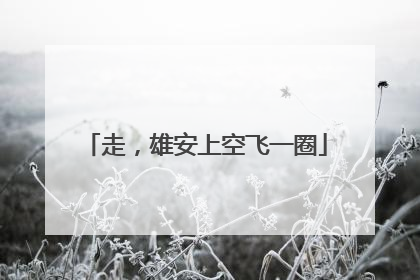 走，雄安上空飞一圈