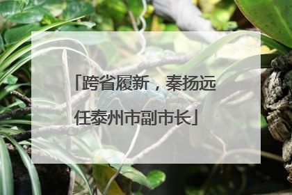 跨省履新，秦扬远任泰州市副市长