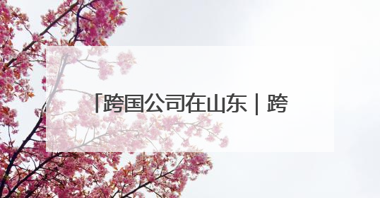 跨国公司在山东｜跨国巨头抢滩山东开发区，青岛峰会拉开帷幕