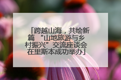 跨越山海，共绘新篇 “山地旅游与乡村振兴”交流座谈会在里斯本成功举办