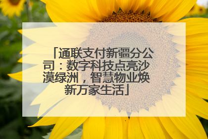 通联支付新疆分公司：数字科技点亮沙漠绿洲，智慧物业焕新万家生活