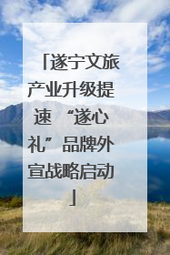 遂宁文旅产业升级提速 “遂心礼”品牌外宣战略启动