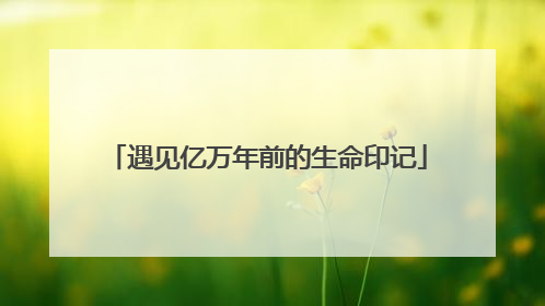 遇见亿万年前的生命印记