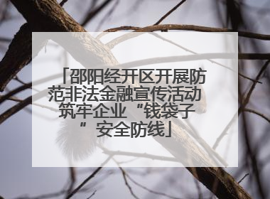 邵阳经开区开展防范非法金融宣传活动 筑牢企业“钱袋子”安全防线