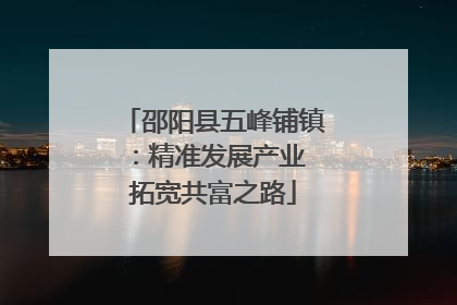 邵阳县五峰铺镇：精准发展产业 拓宽共富之路