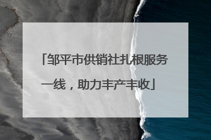 邹平市供销社扎根服务一线，助力丰产丰收