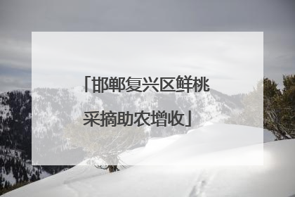 邯郸复兴区鲜桃采摘助农增收